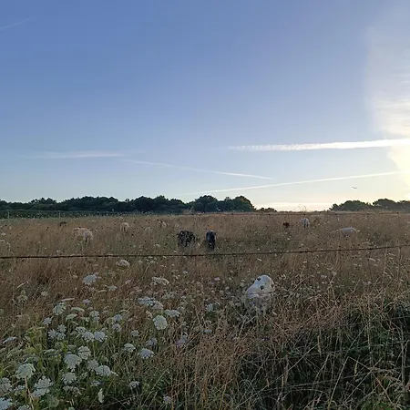 Loralistudios, Maison En Bord De