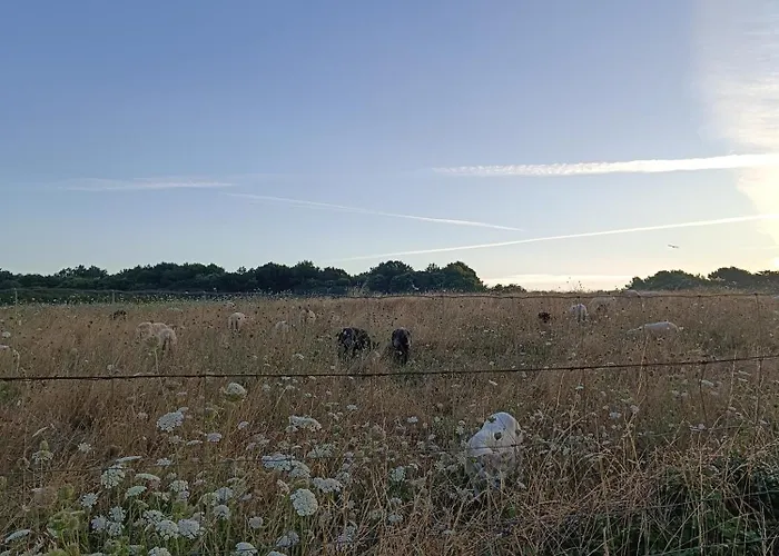 Loralistudios, Maison En Bord De